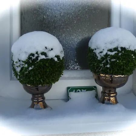 公寓 Max 达拉斯