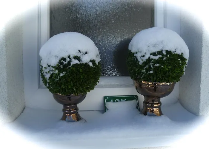 Apartment Das Max Dalaas